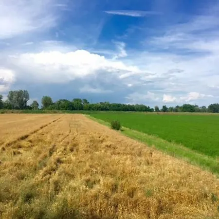 Ruggeri * Modena